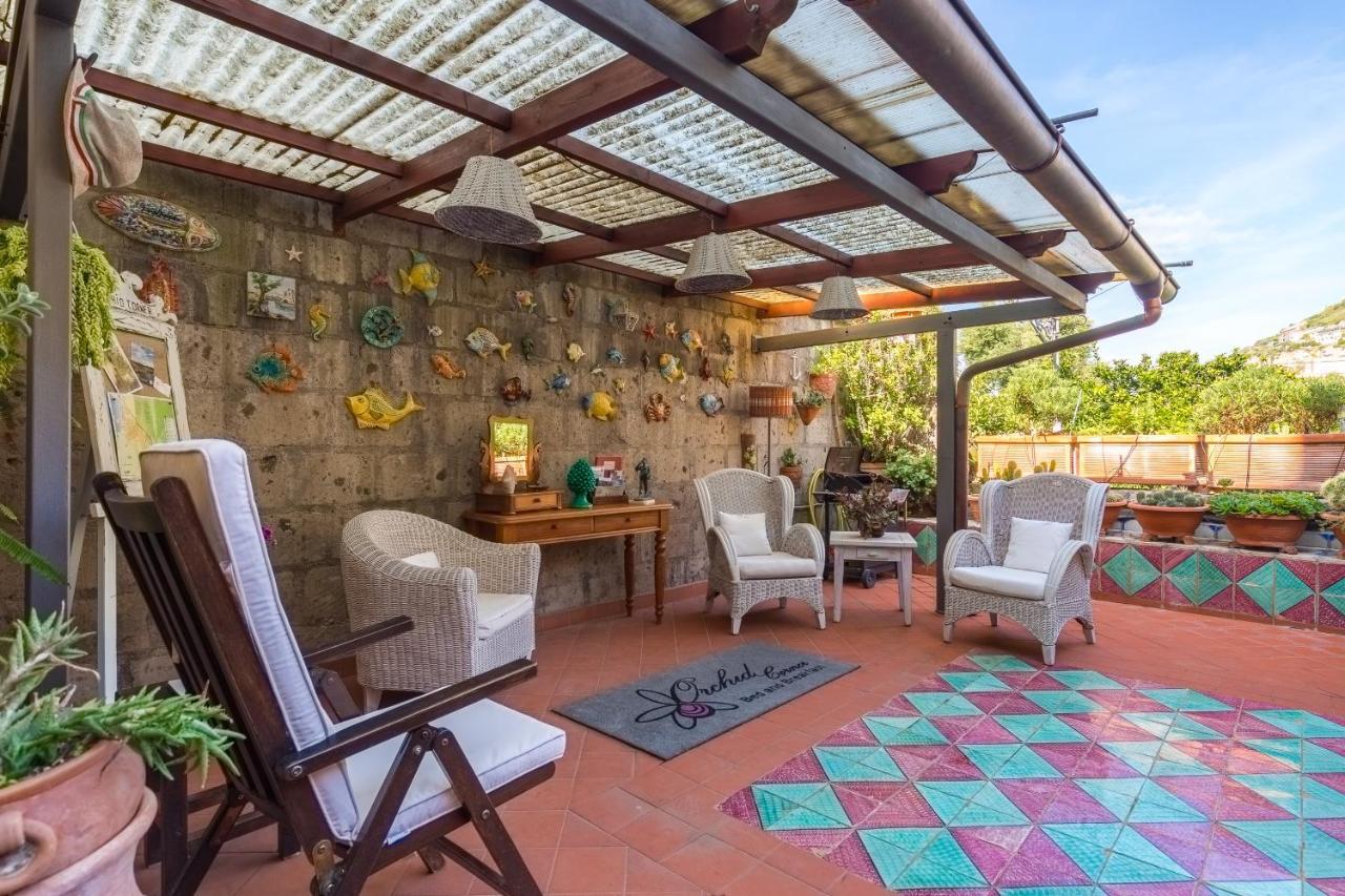 Orchid Corner Guesthouse Мета Экстерьер фото