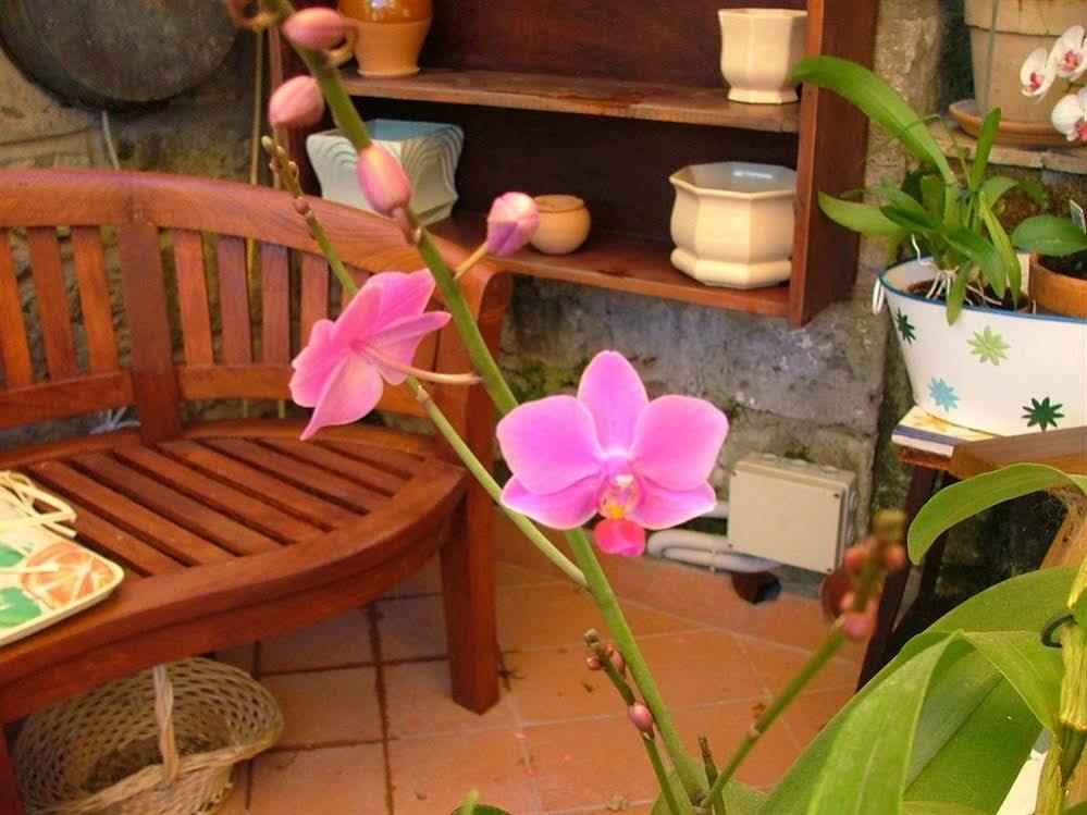Orchid Corner Guesthouse Мета Экстерьер фото